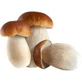 STAR GRAN RAGU' PASTA SAUCE PORCINI MUSHROOMS TIN 180 GR X2 (12 in a box)