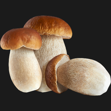 STAR BROTH CUBES PORCINI MUSHROOMS X10 100 GR (48 in a box)