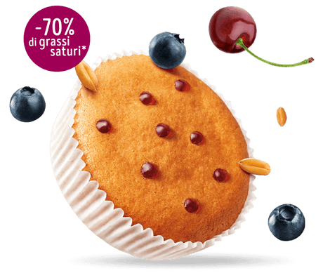 MISURA PRIVOLAT TORTINI CHERRY AND BLUEBERRY X6 290 GR (10 in a box)