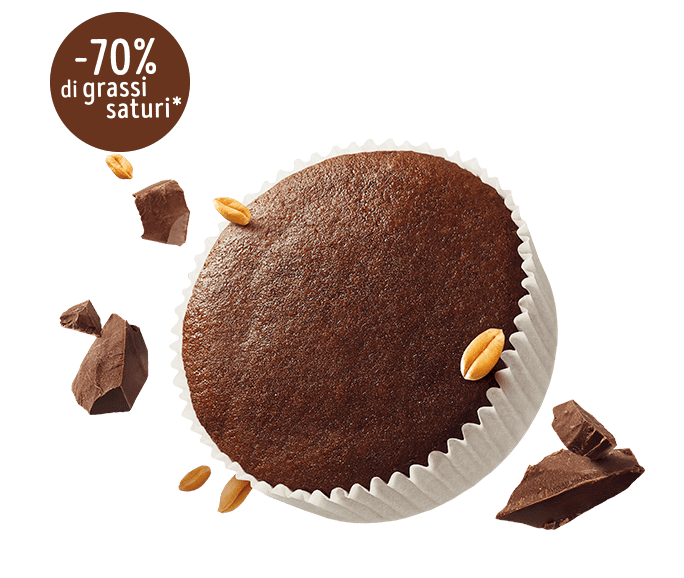 MISURA PRIVOLAT TORTINI CHOCOLATE X6 240 GR (10 in a box)